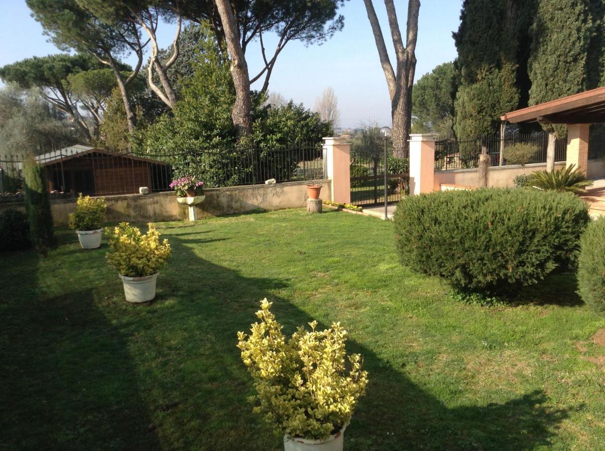 Guest house Paradise *